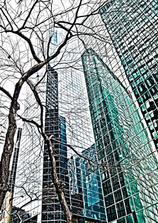 Whitehall St New York