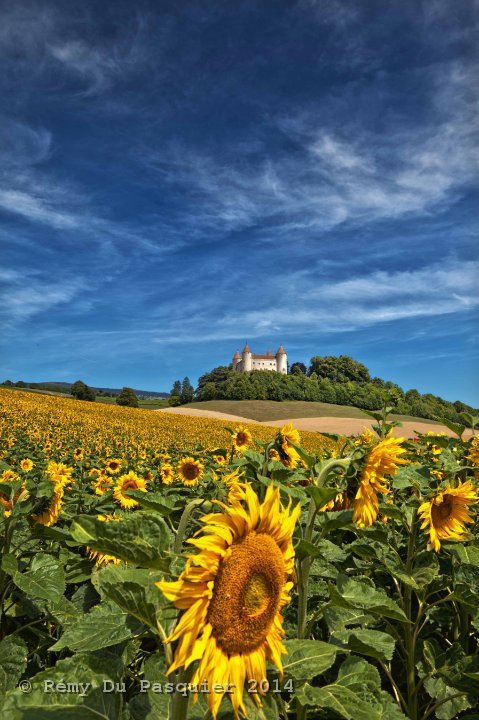 Château de Champvent