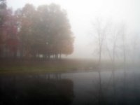 Morning light  Solitude : Prince Gallitzin, State Park, Patton, PA, pond, fog, fall, tree, forest