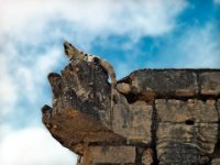 Lezard  Lezard on a mayan snake head on El Rosaria temple, Chichen-itza : Lezard, maya, Chichen-itza, yucatan, mexico, piramid, temple, El Rosaria