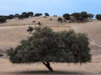 MG 0641-Edit-2-Edit DxO