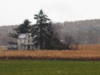 A294947-Edit  First snow