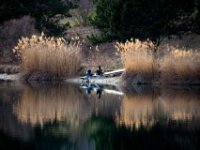 IMG 2612  Two friends