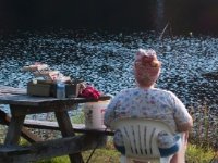 A085213-2  American Beauty